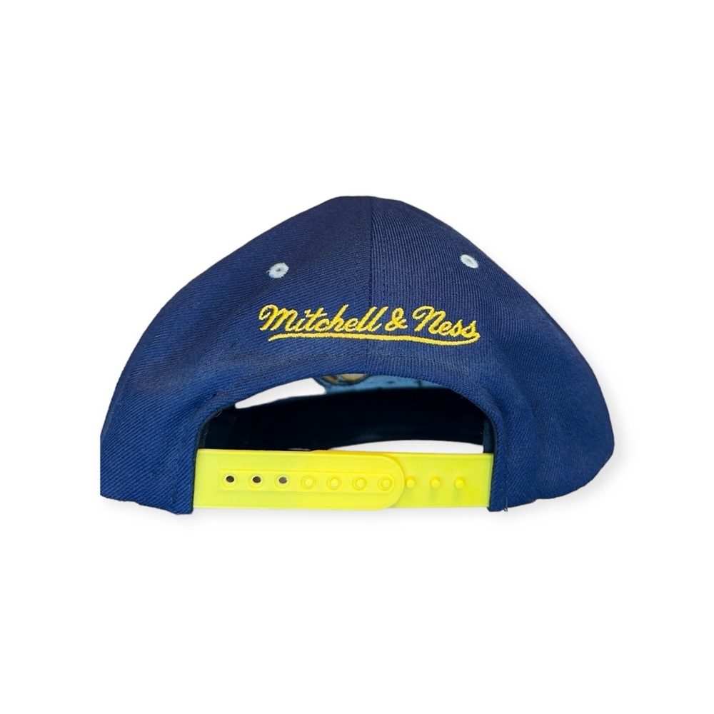 Custom Mitchell & Ness Leopard Print Pacers Hat - image 3
